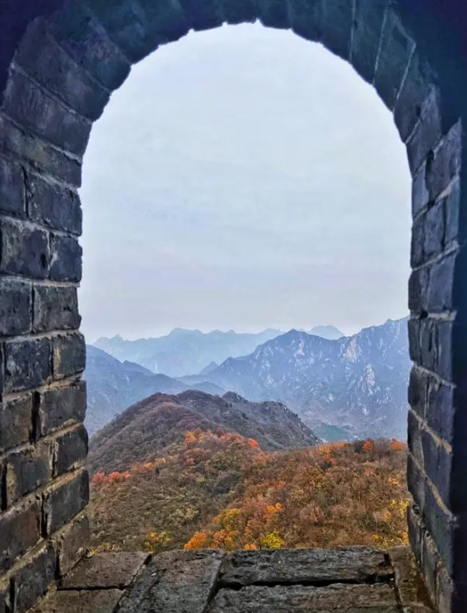 1701150816562.png