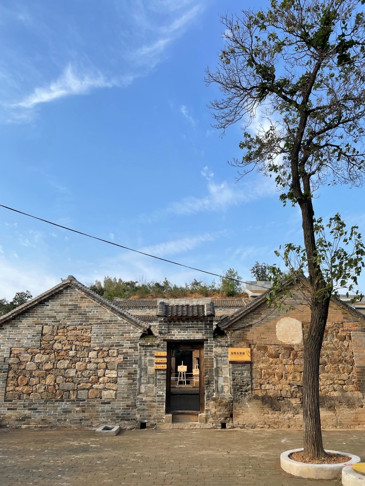 图片5.jpg