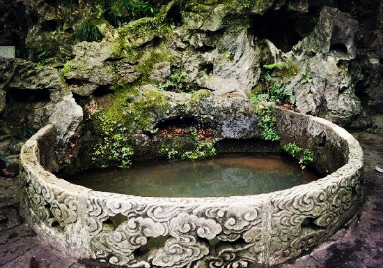 西湖龙井茶,龙井西湖,杭州龙井,龙井茶,茶园景观