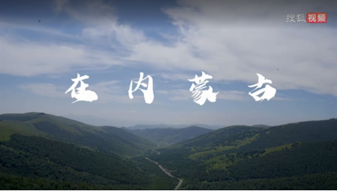 1731987187341.png