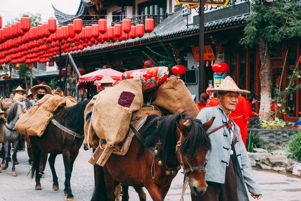 茶马古道文化旅游节 中国网.jpeg